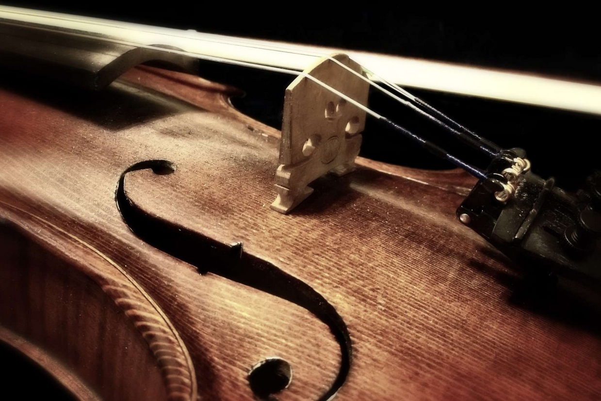 Il misterioso caso del violino nero di Stradivari